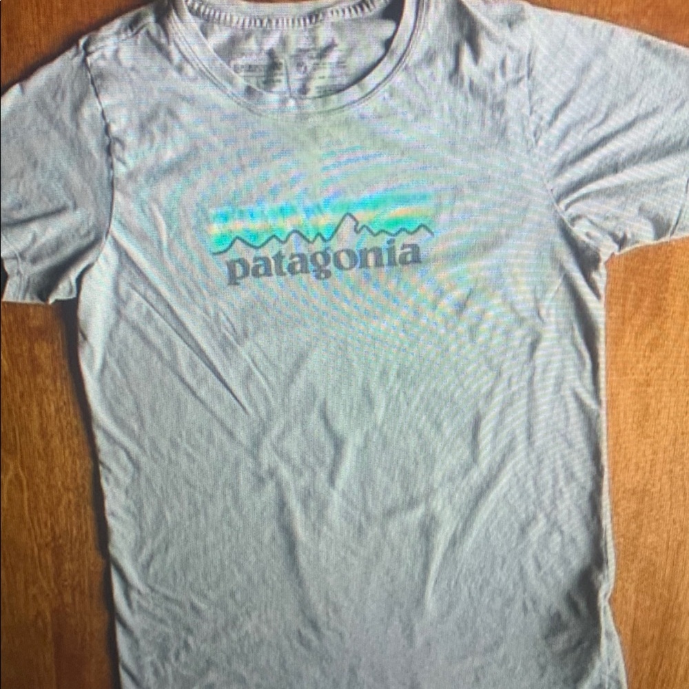 Patagonia Gray T-Shirt